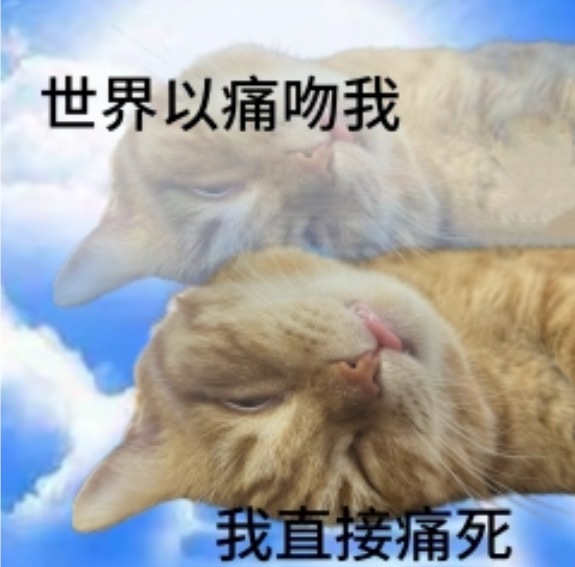 买衣服千万不要将就，真是是这样，有好多衣服图便宜买的，穿着好像也还行，有点小缺点