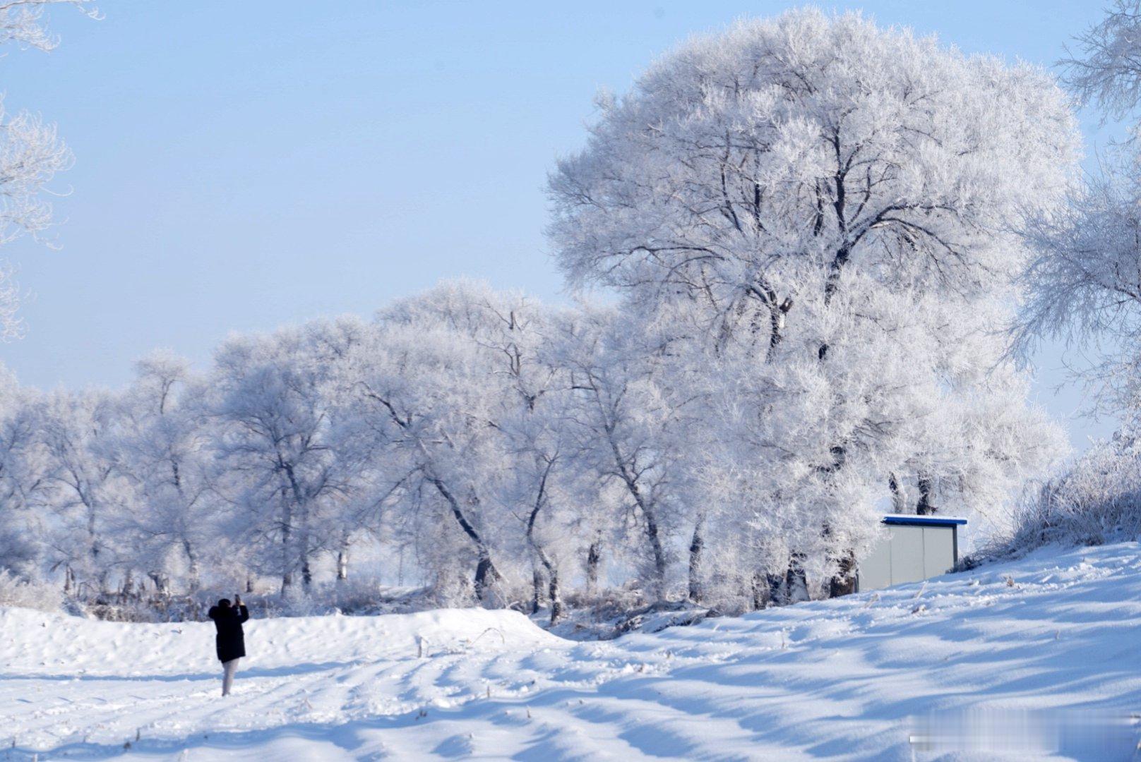  衣服帽子围巾色彩艳丽一些，在雪地里拍照更好看。除了给自己穿暖和，相机和手机也要