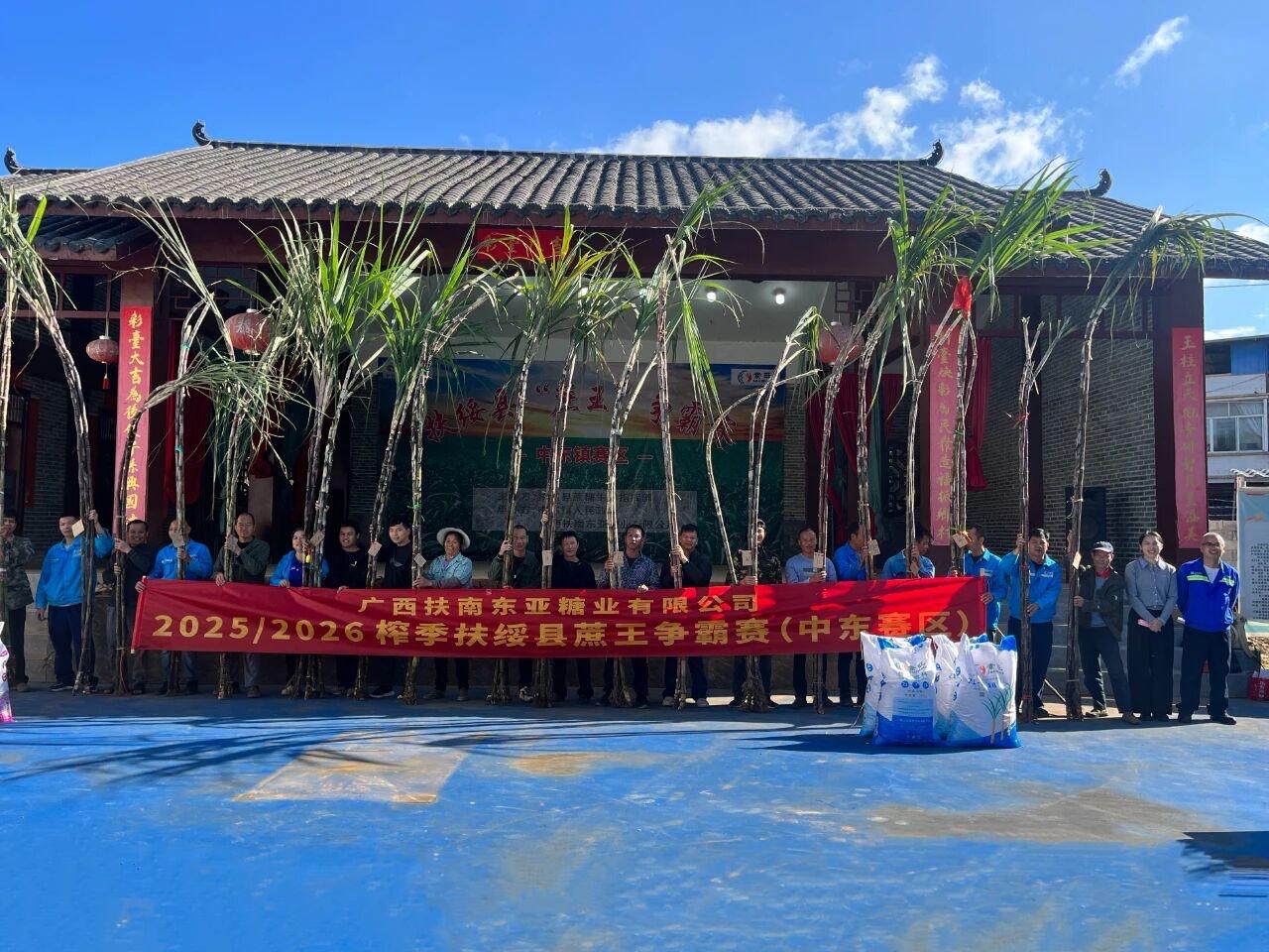 甜乡扶绥在11个乡镇比拼蔗王咯！中东镇蔗王产生！赛场上，24个甘蔗样品都是从15