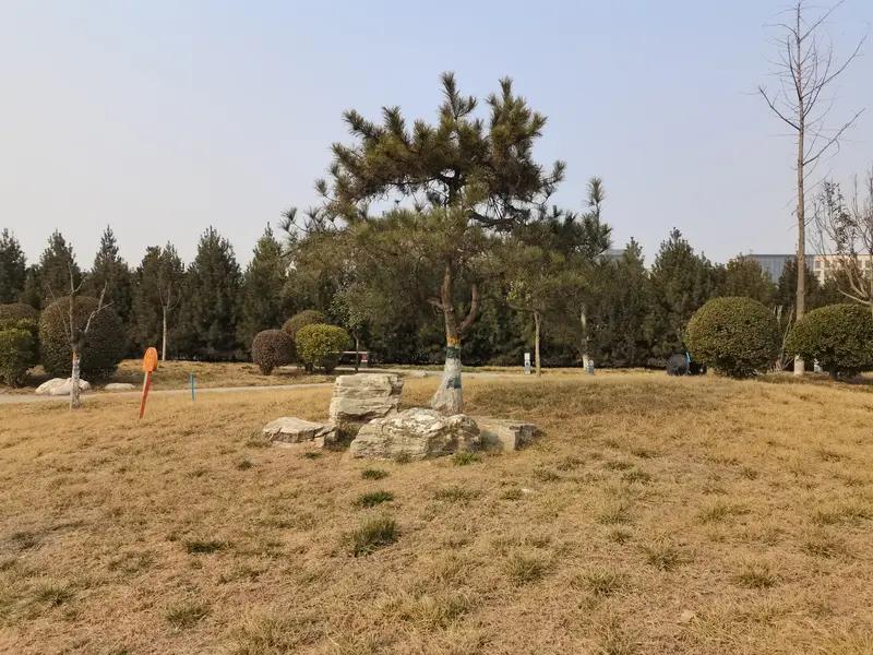 说德艺双馨，我立马想到茹萍。她年轻时凭出众相貌进娱乐圈，1990 年《风雨丽人》