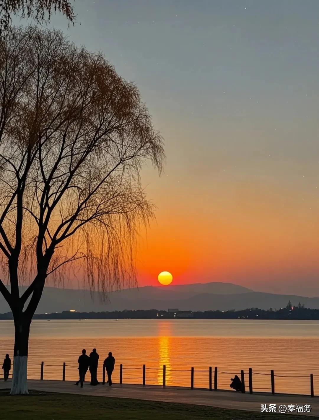 身体和心灵就像丈夫和妻子，并不总会约好一起去死。——查尔斯·C. 科尔顿