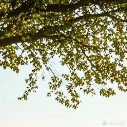 时代向前，我辈向上。不必纠结一时得失，沉淀自我，积蓄力量。在平凡的生活坚守初心，
