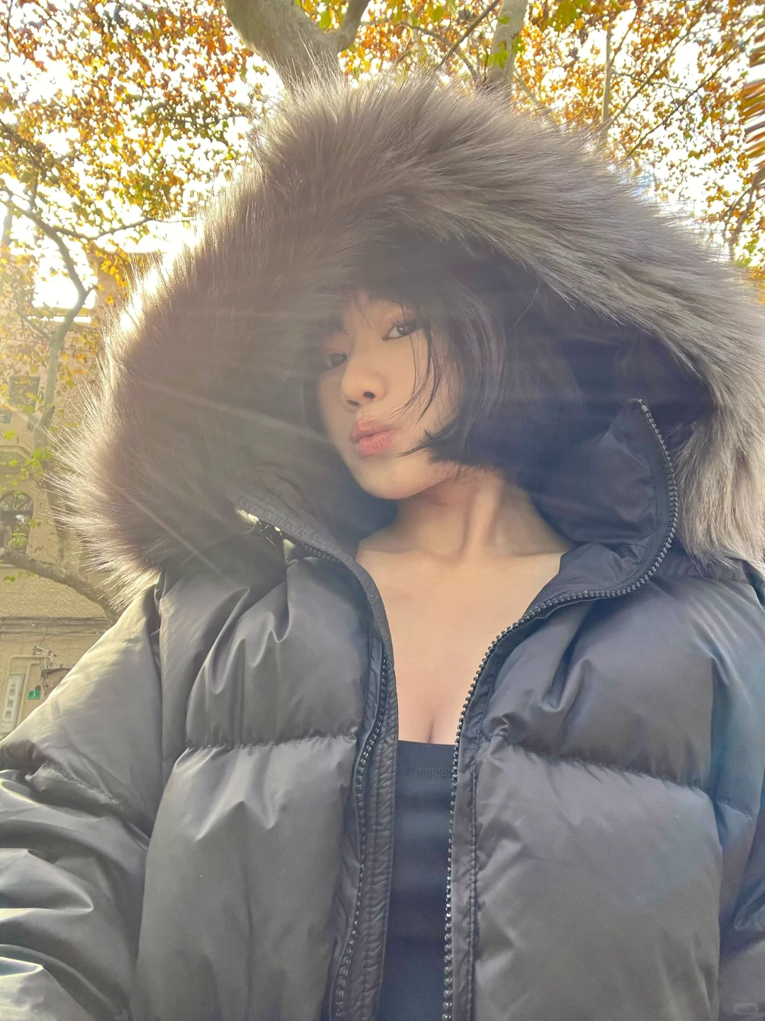 今天你晒太阳了吗😎