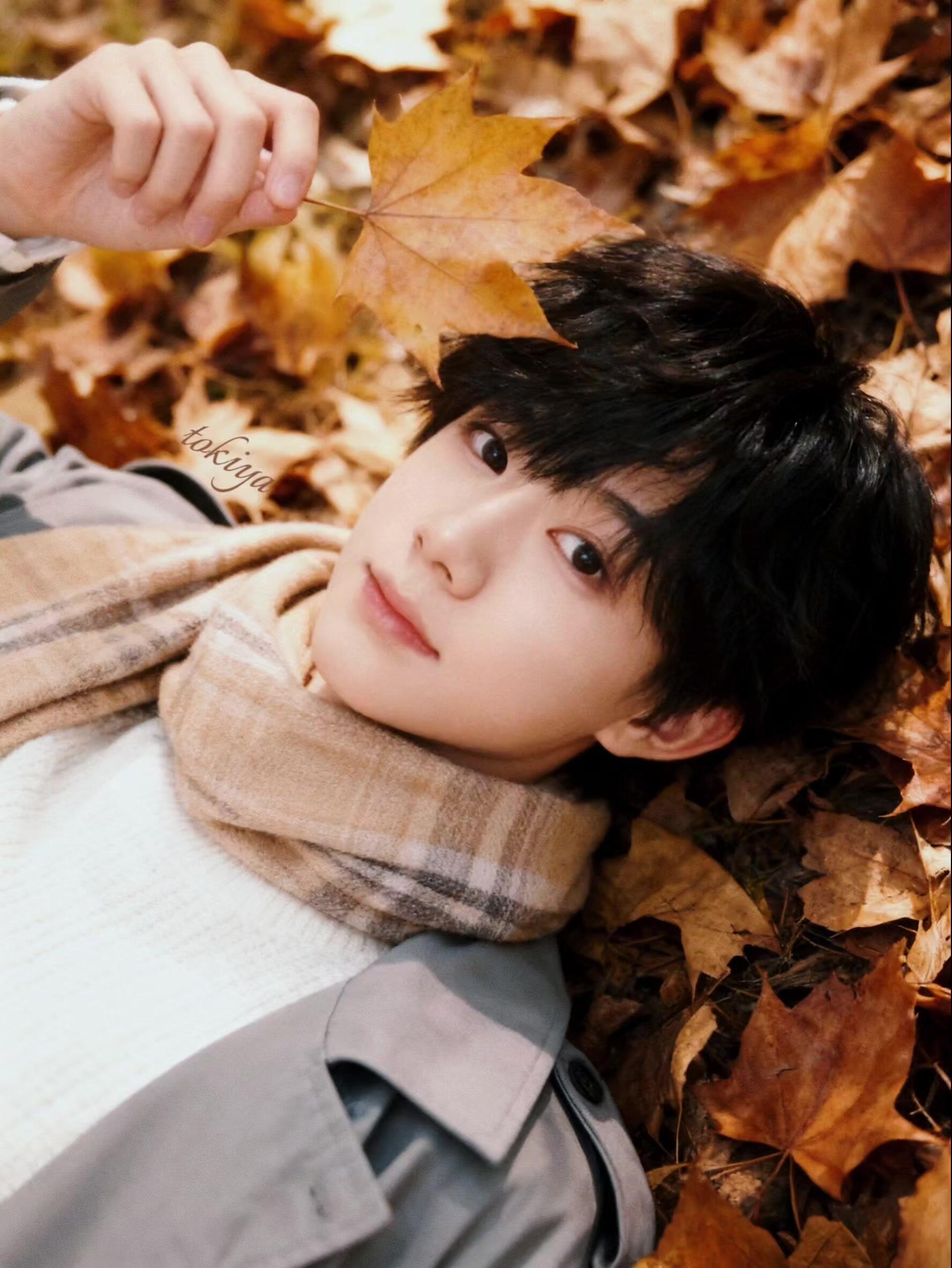 【陈奕恒】陈奕恒 .陈奕恒紫海 除了秋天 爱情和樱花🌸 ​​​