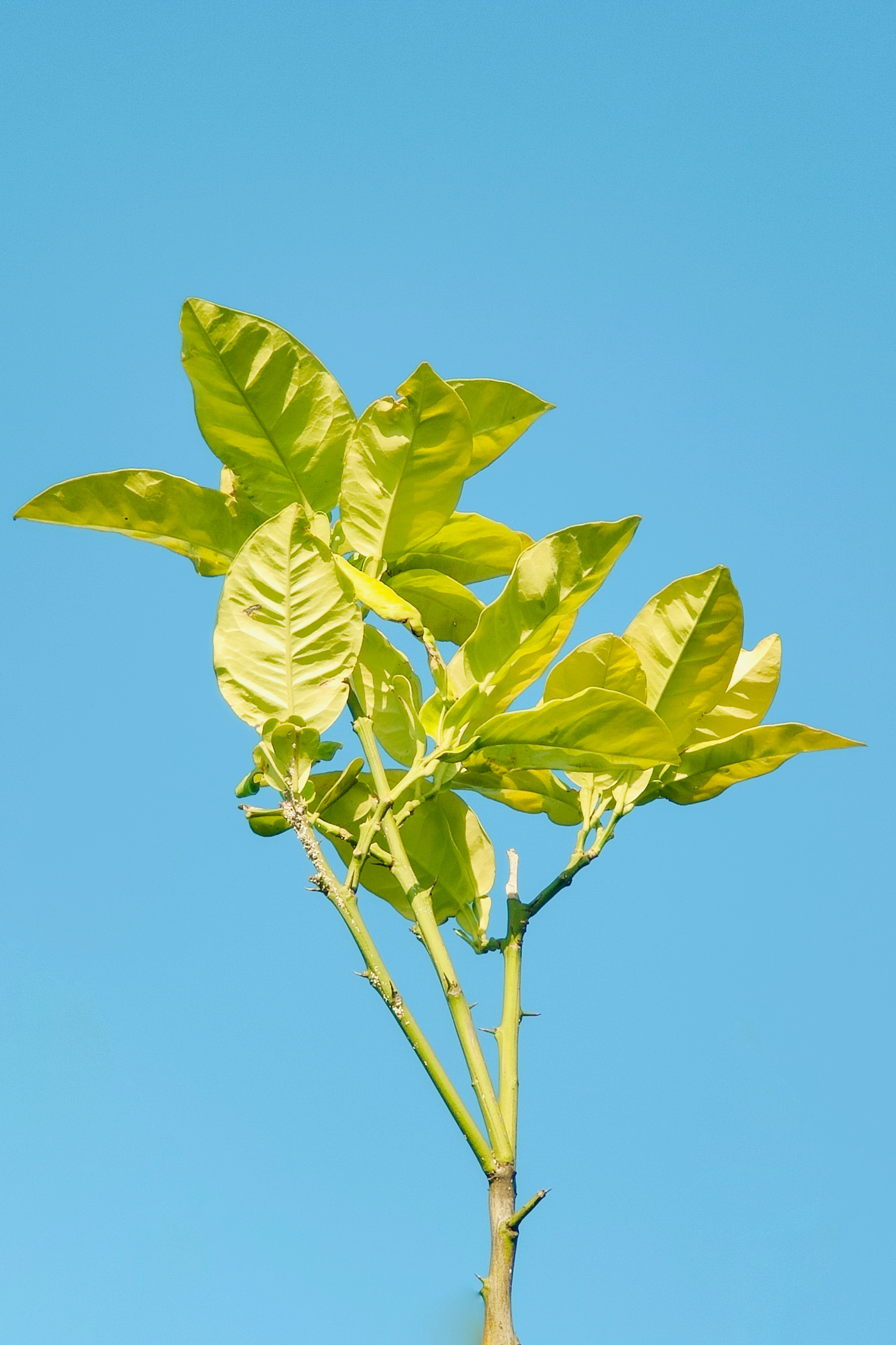 “我对自己说，跨过去，春天不远了，我永远不要失去发芽的心情。”  丨林清玄 