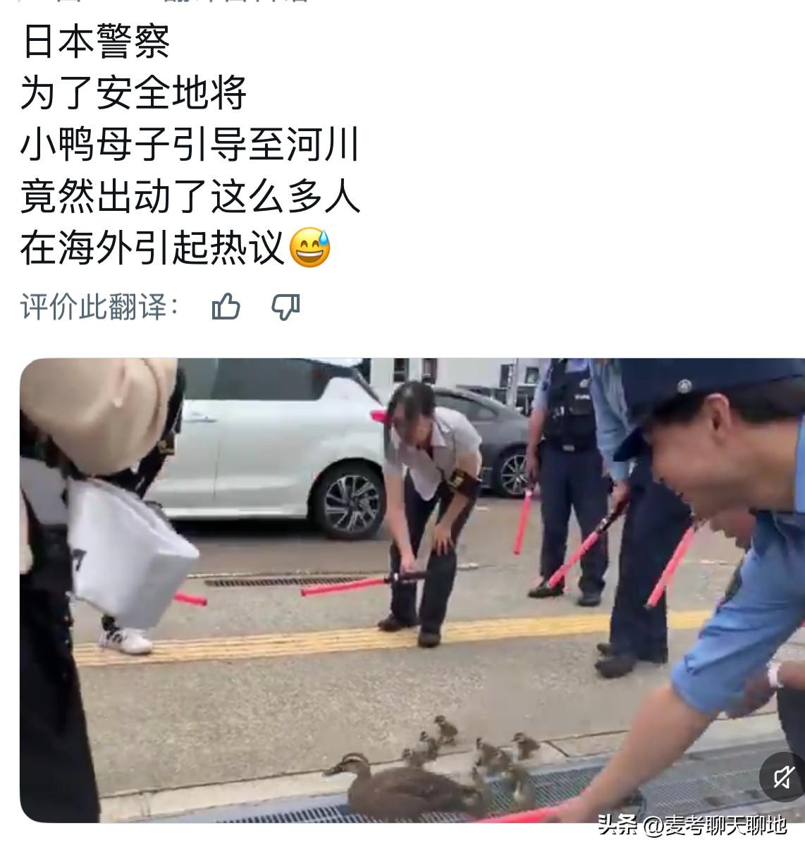 一位日本人在社交平台上晒出一段视频，她写道：“日本警察为了安全地将小鸭母子引导至