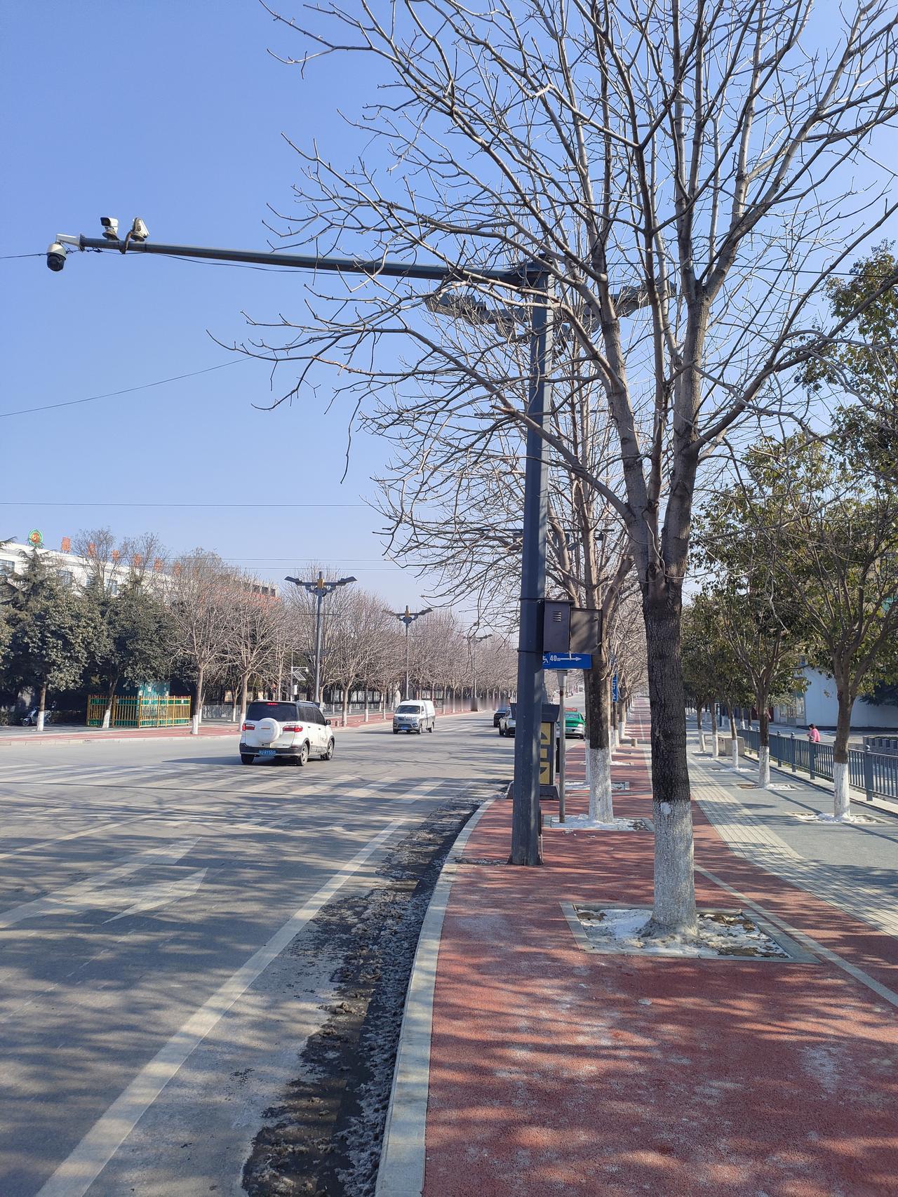 冬阳把树影筛在红步道上，车辆碾过晴空的蓝，城市在冷冽里，也藏着温软的光。
🌿 