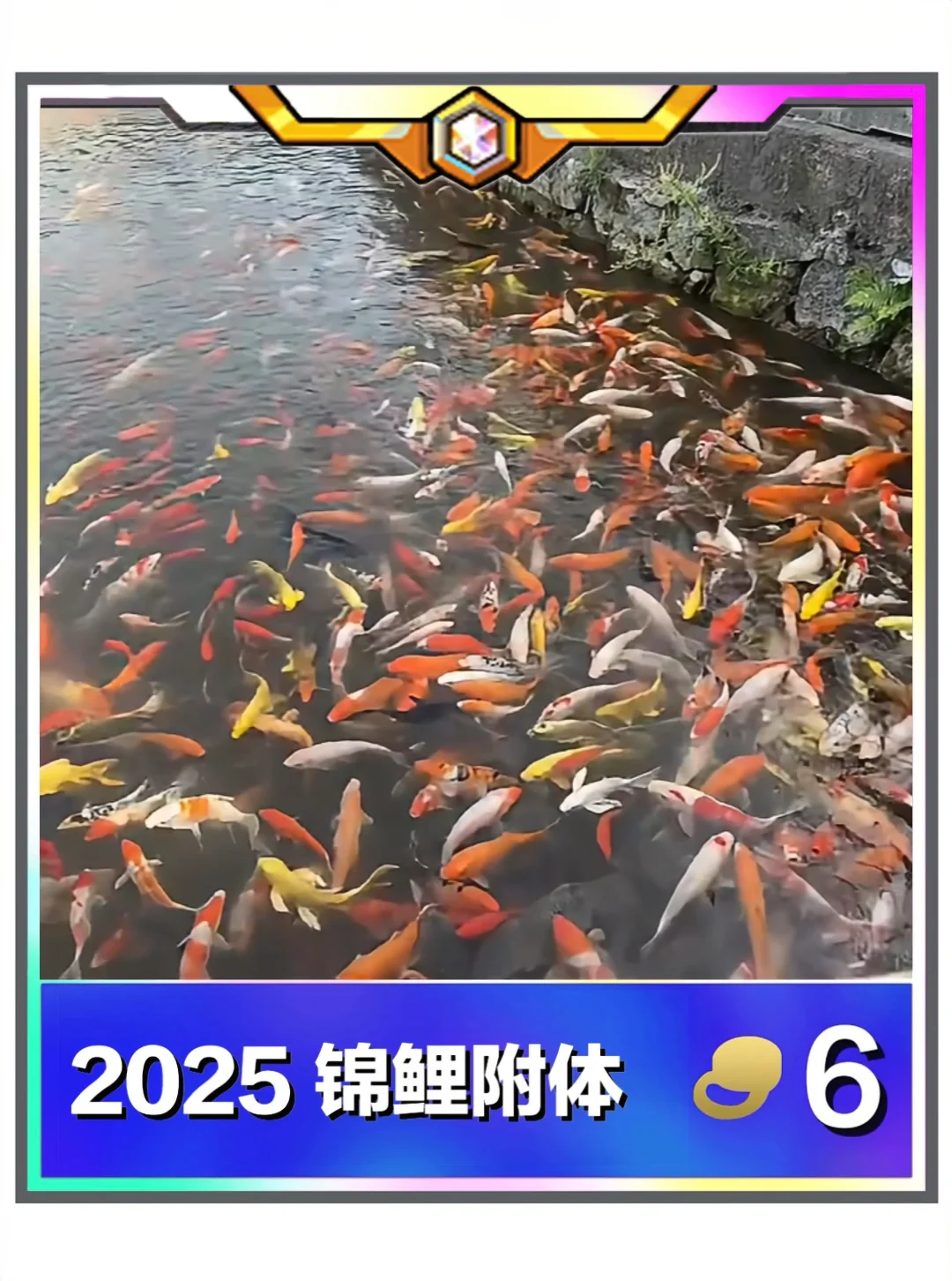 ㊗️所有弈士们节日快乐❗收好2025年锦鲤6费卡