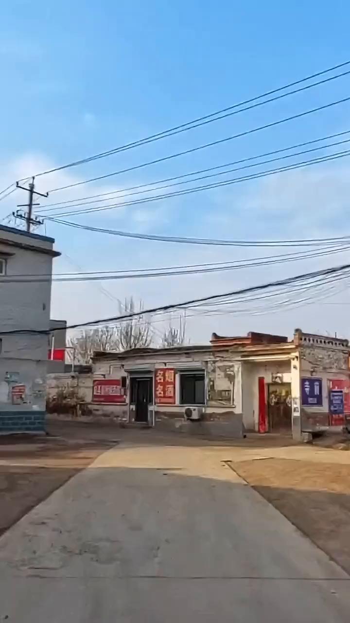 寺前古柏树。