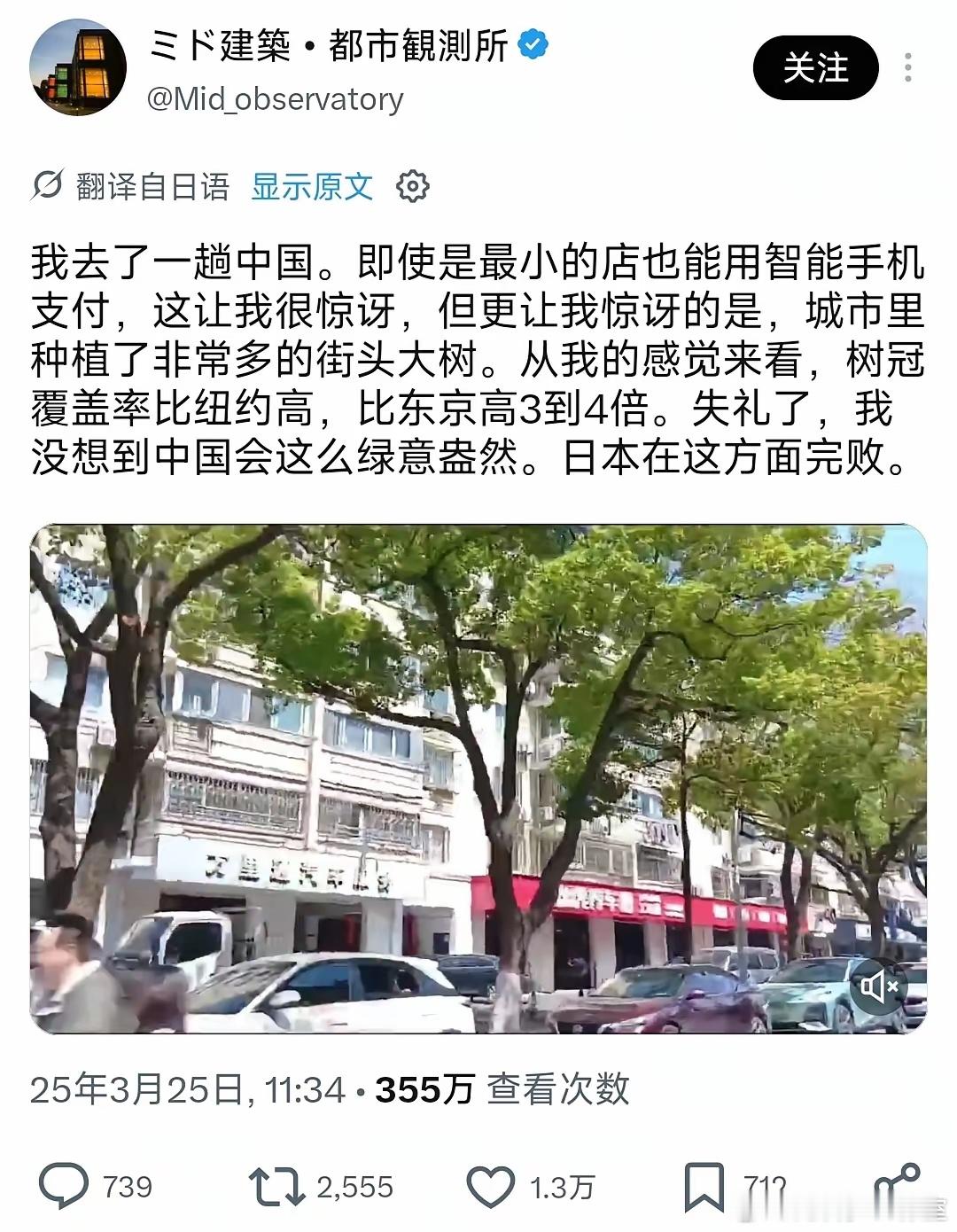 日本人对中国城市街边树木感到惊讶。。对的，我能理解这种惊讶！刚工作时，去过一次东