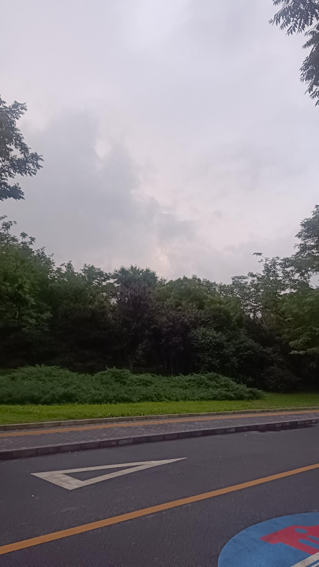 雨后的空气格外的清新啊，真的是太舒服了啊！