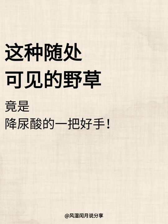 这种随处可见的野草，竟是降尿酸的一把好手
