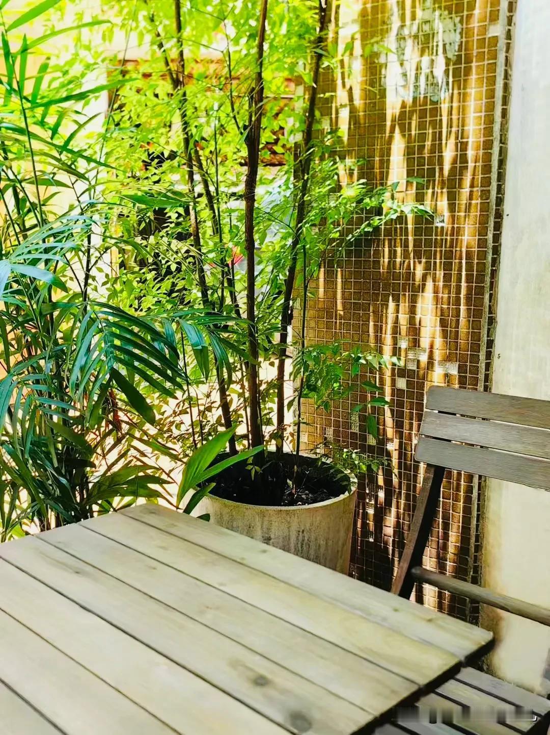 太阳正好
赶紧的
不然补钙效果就没那么好了！[笑哭]