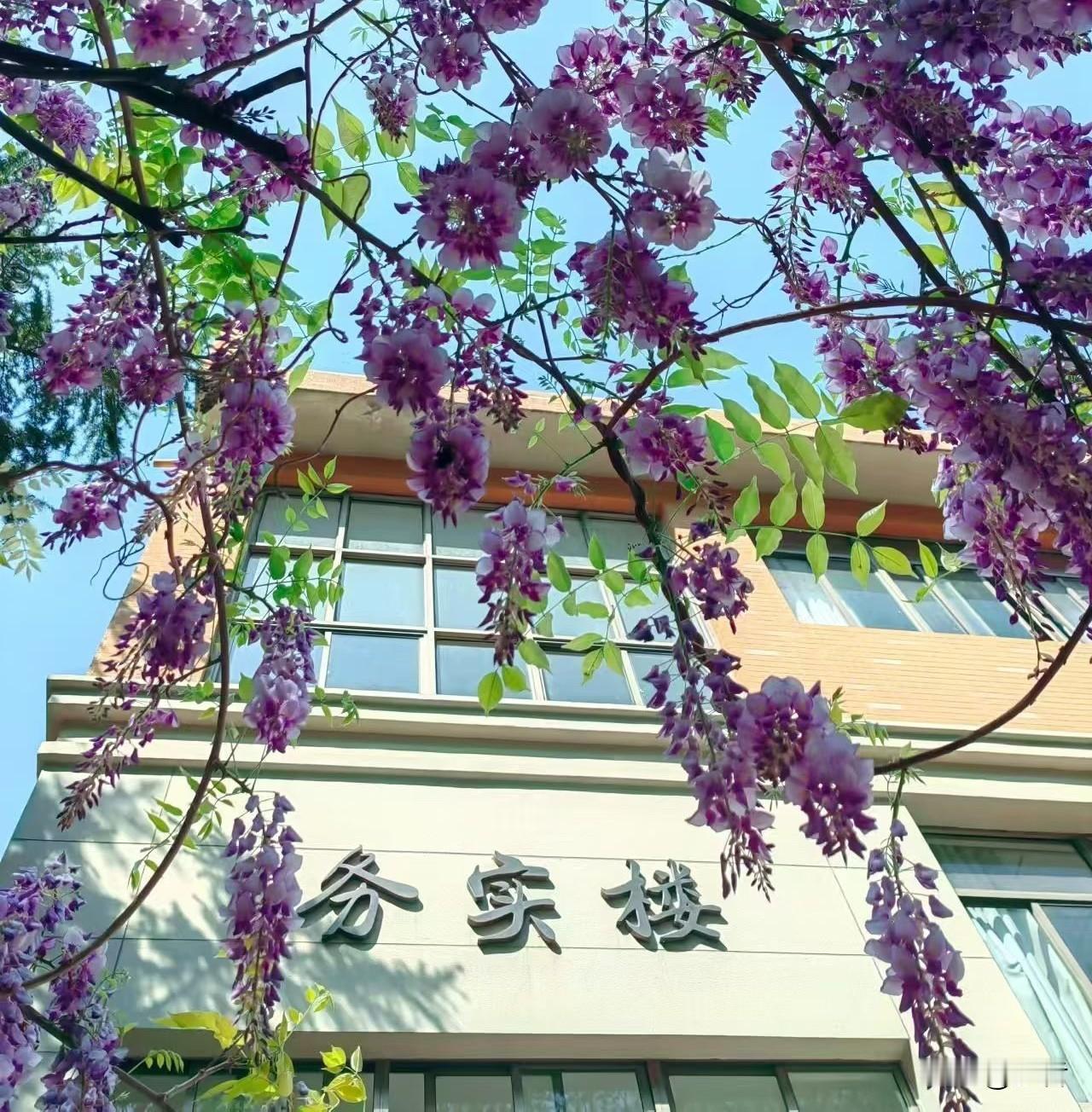 越当一把手，越容易心宽体胖？

友友们，你们有没有发现一个特别有意思的现象：人一