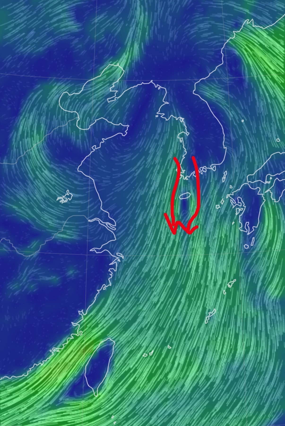 今日，在长江口东侧、济州岛西南侧的东海北部海面，出现了一列沿着风向交替排列的小涡