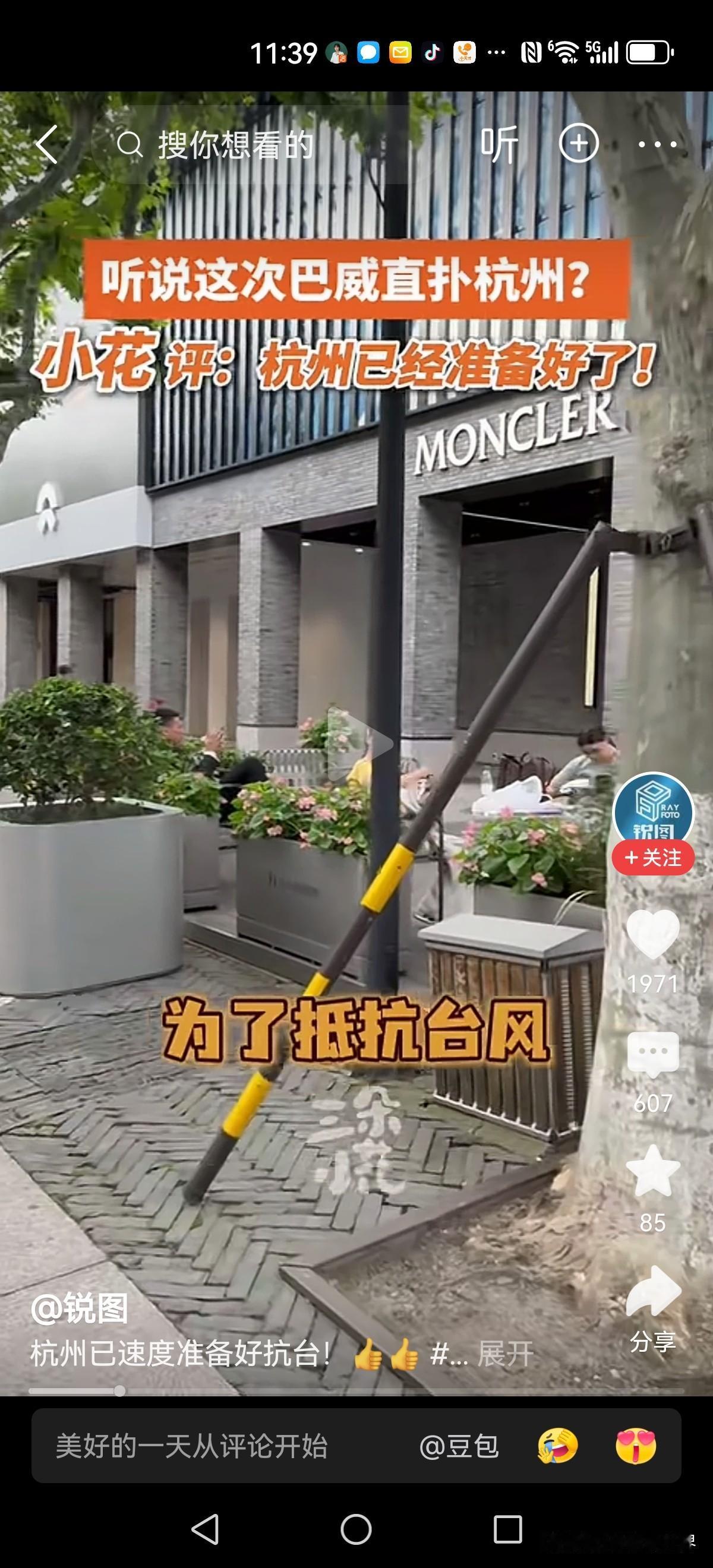 未雨绸缪！为了应对超强台风的冲击，西湖边的树已经做好了加固！超强台风预报 台风破
