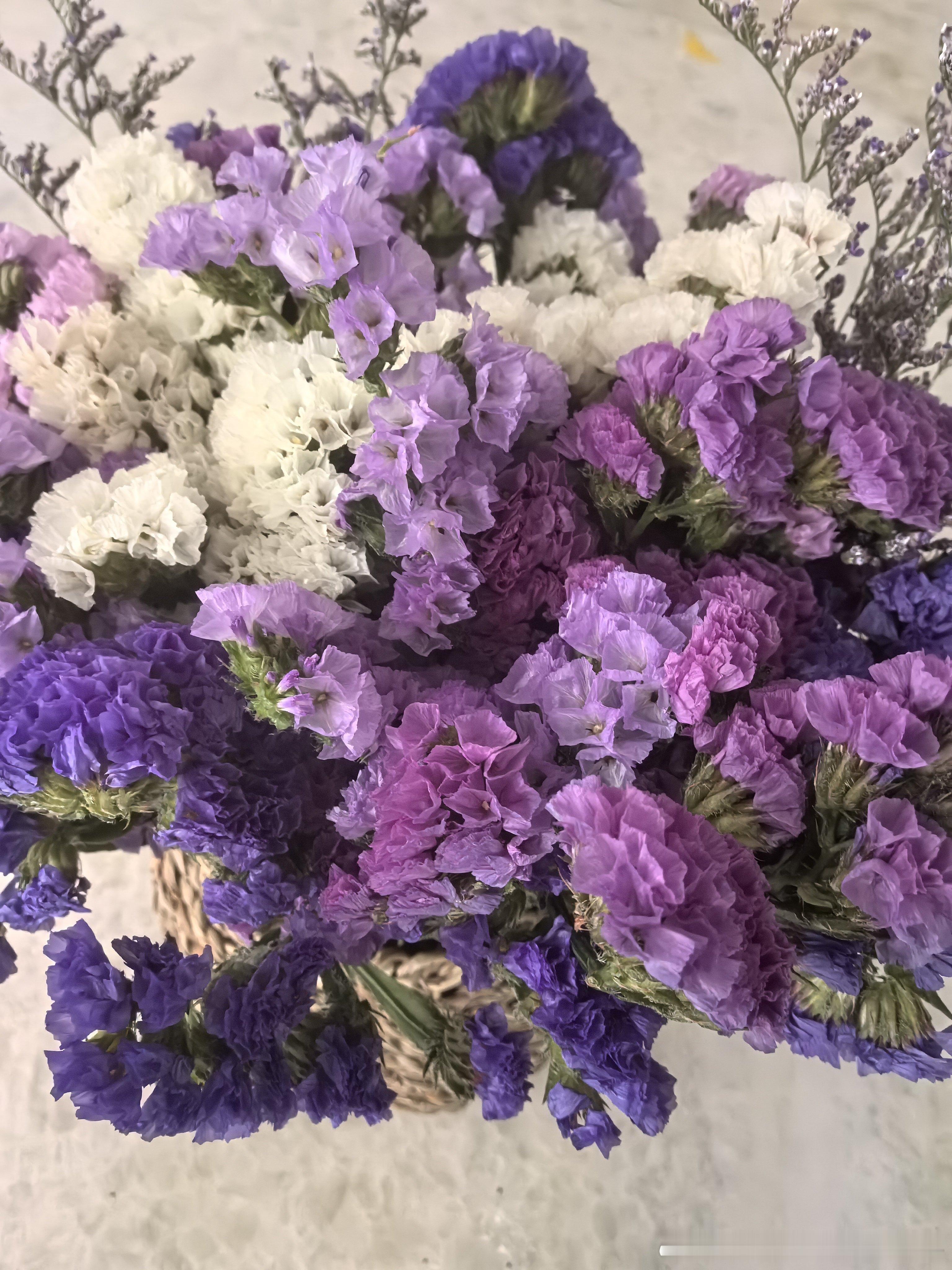 早安，点赞领取好运。丙午年，丁酉月，丙申日。地支有寅的寅申冲，地支有巳的巳申又刑