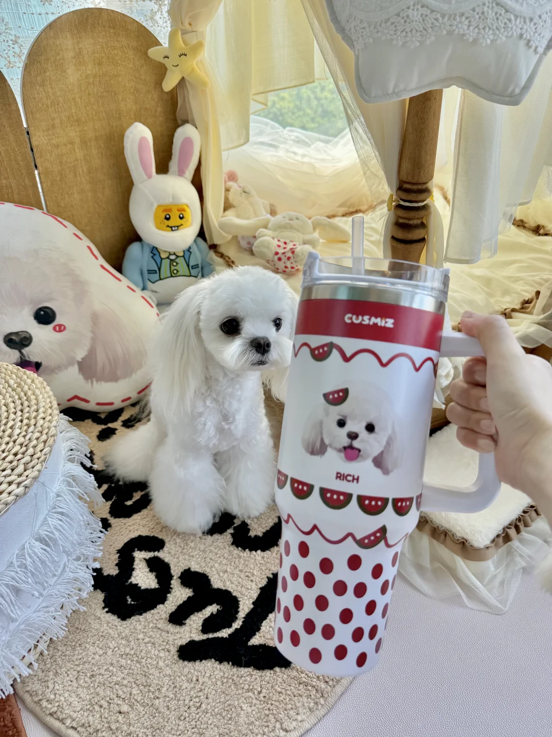 爱喝水的自律小狗