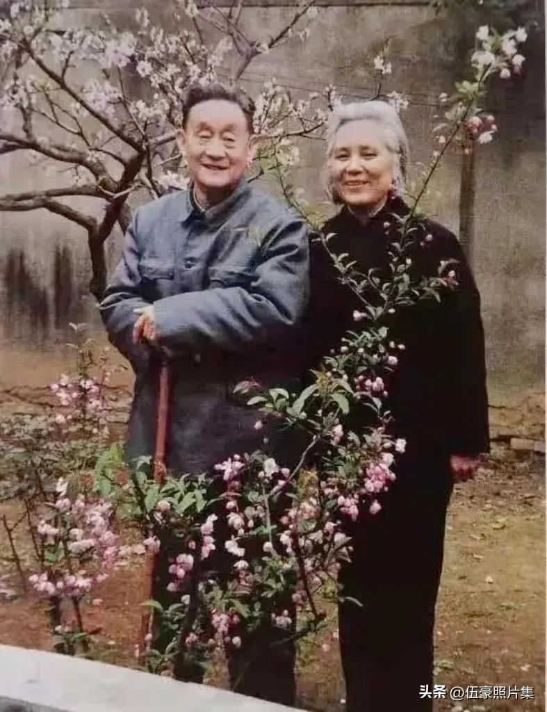 晚年时期的，原上海警备区司令员周纯麟将军（左）与夫人郑文秀在上海住所院中的留影。