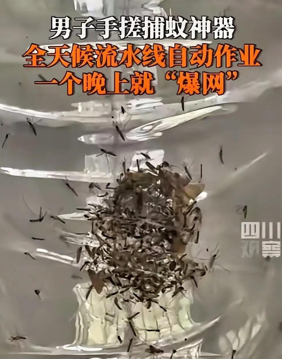 福建，一男子被村里的蚊子叮的不胜其烦，于是灵机一动，靠着风扇加紫光灯，自制一个捕