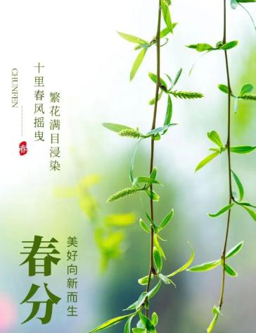 下午好，今天是2024年3月20日，星期三 农历二月十一
今日春分，春是希望，分