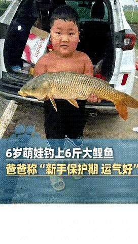 玩具竿甩出六斤鲤，老父亲专业杆空桶——网友@小鱼儿笑疯：“装备党输给塑料杆，这娃