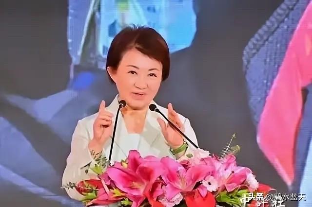 国民党7月25号召开党代会，这次会议主要内容就是修改候选人参选制度，由原来的党主