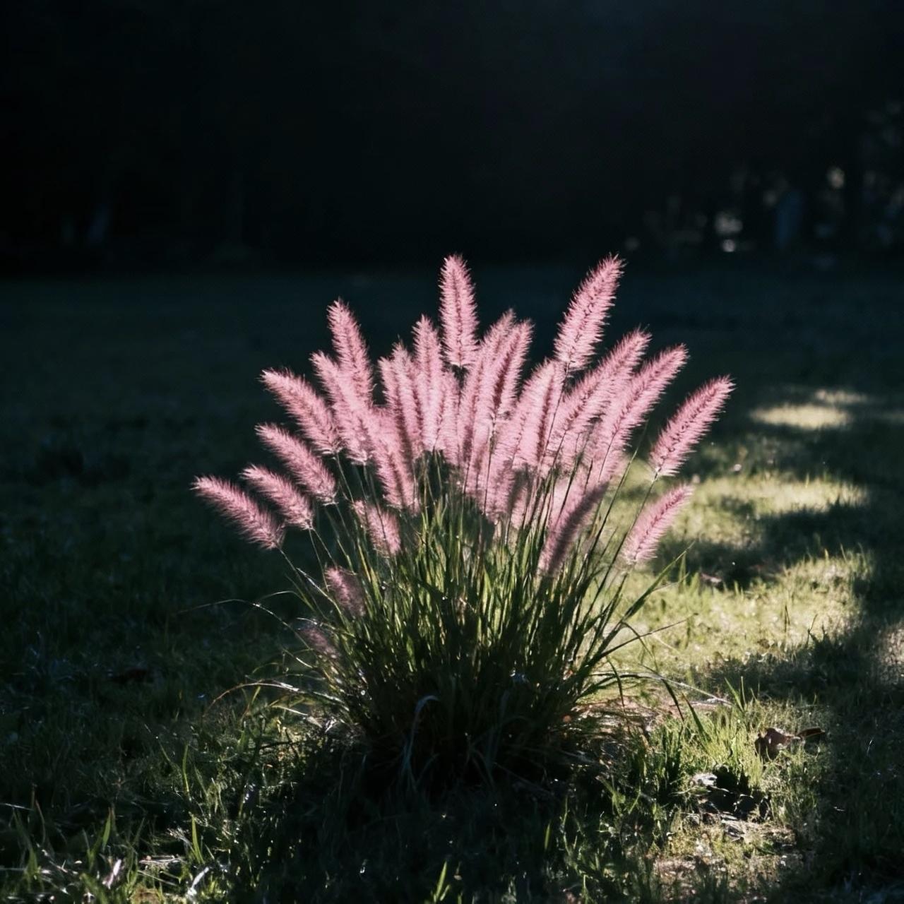 看到一段话很有感触：
“20年后中国丧葬将会转变。很多独生子女对待死去的父母，基