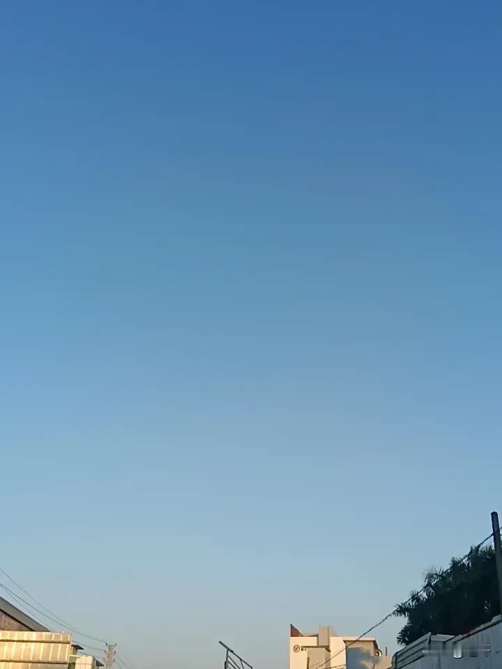 分享一张你拍的清晨阳光冬日阳光随手拍