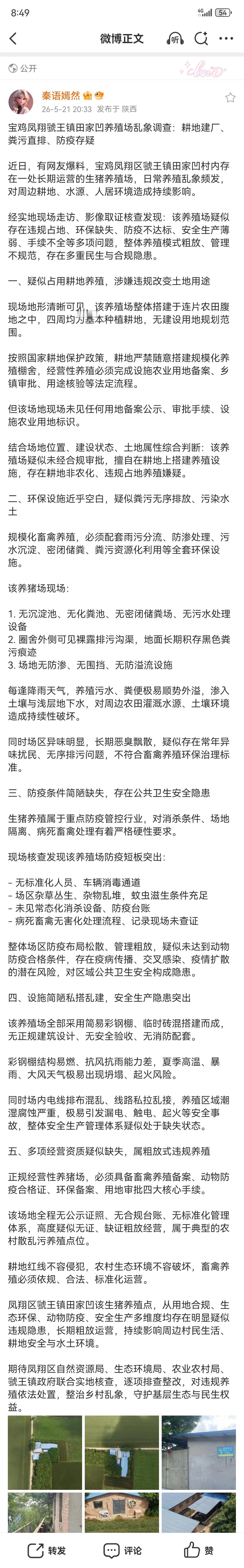 分享图片 