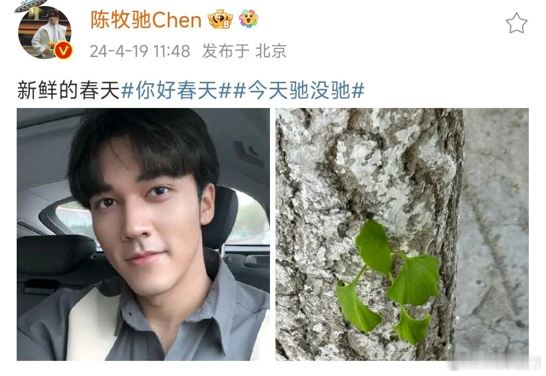 #陈牧驰这次是live# 陈牧驰今日份春日随拍🈶这次是LIVE[doge][d