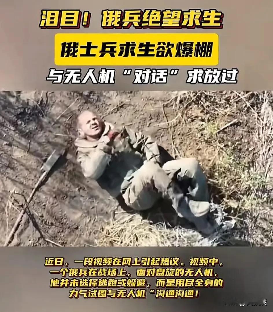 抖音上为啥有大量这种视频
乌克兰无人机
进攻俄罗斯🇷🇺士兵
让人看了很心酸