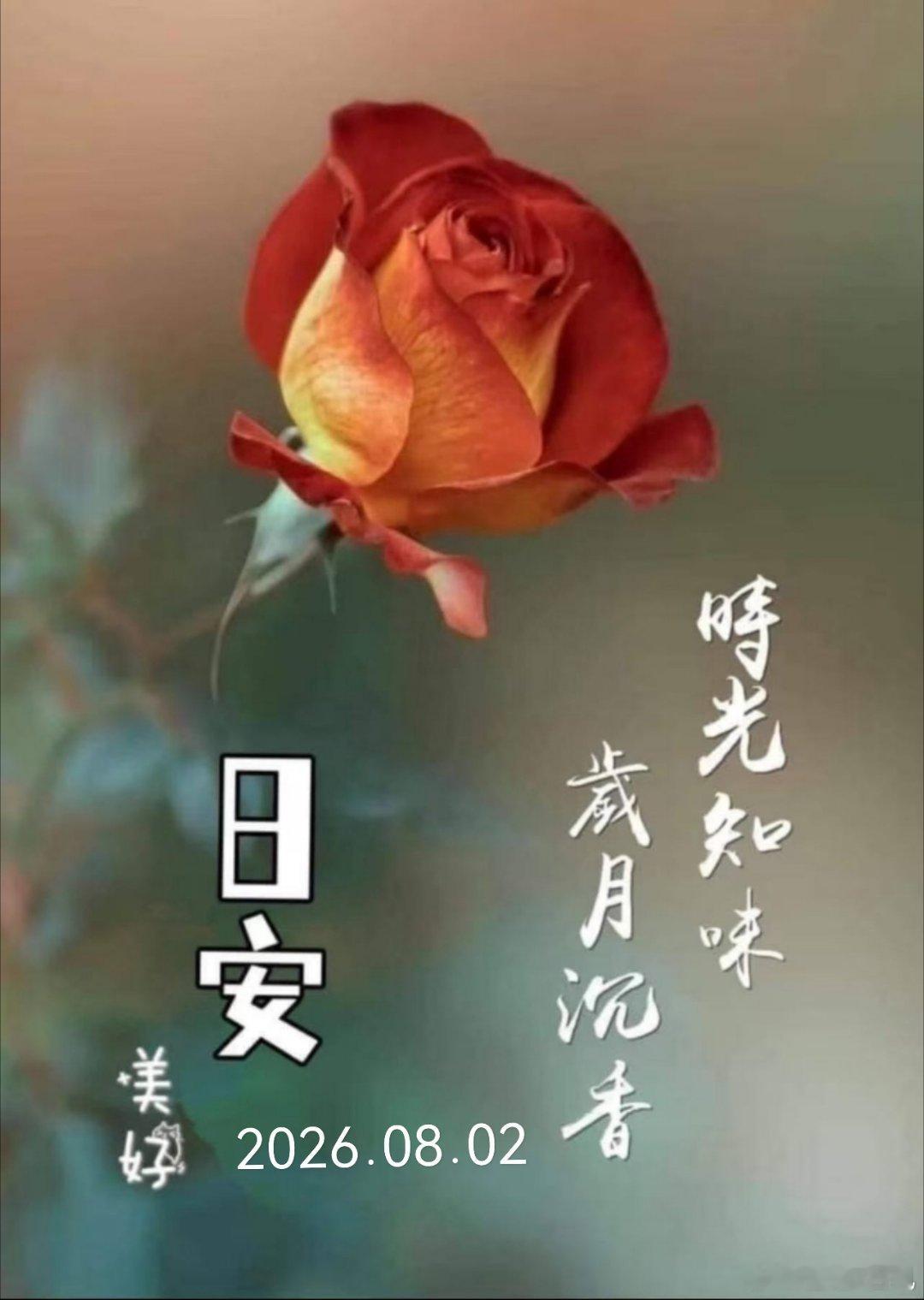 周日早安，万物醒着，我们也愉快地迎向新的开始☀️ 鞍山