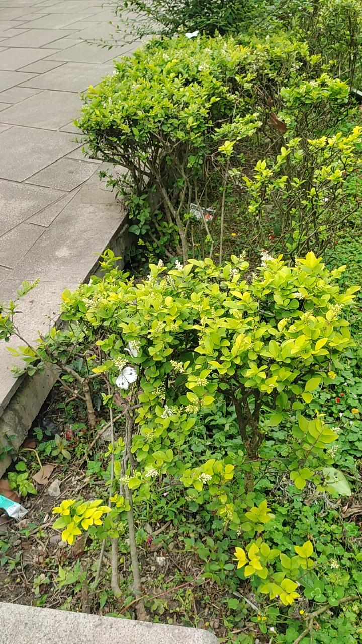 成都人朋友圈热传的“脾气双标定律”，看完我直接对号入座了
最近和朋友在奎星楼吃冒