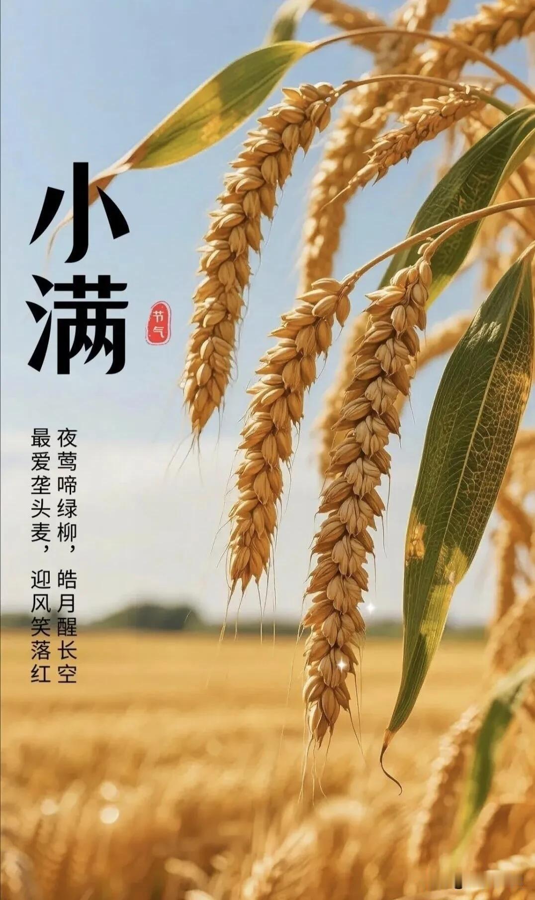  早安，揣着热爱，认真过好每一天。