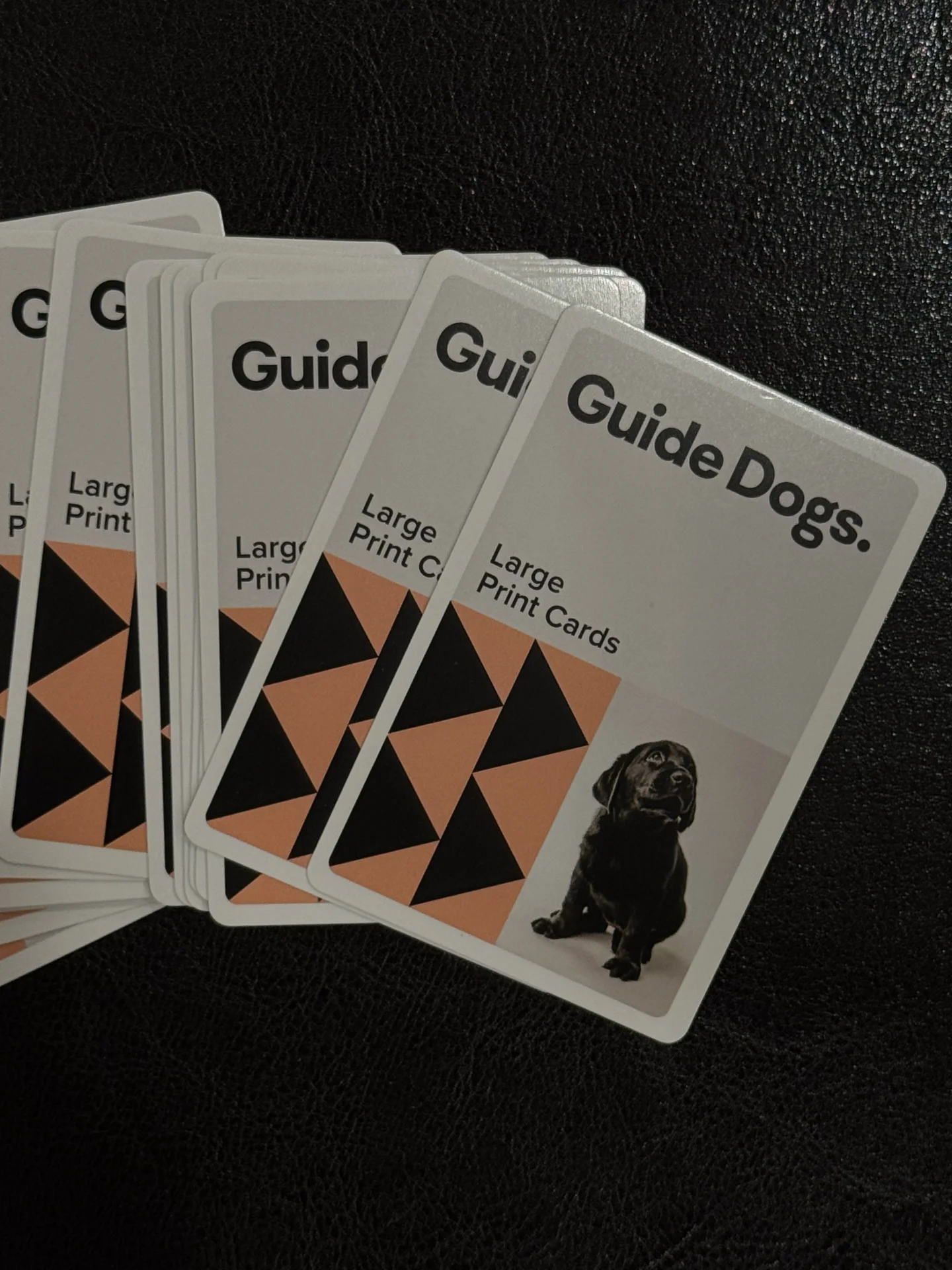 黑拉拉主人无法say no的牌 🃏