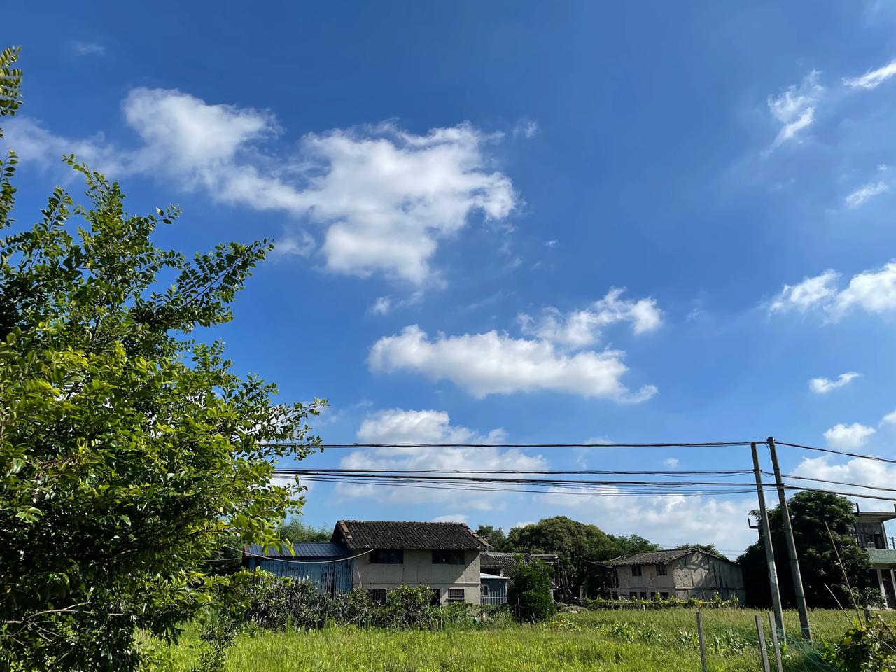 早晨07:40左右，我还在地里除草时（天气炎热，趁早凉快），天空接连飞过7架直升