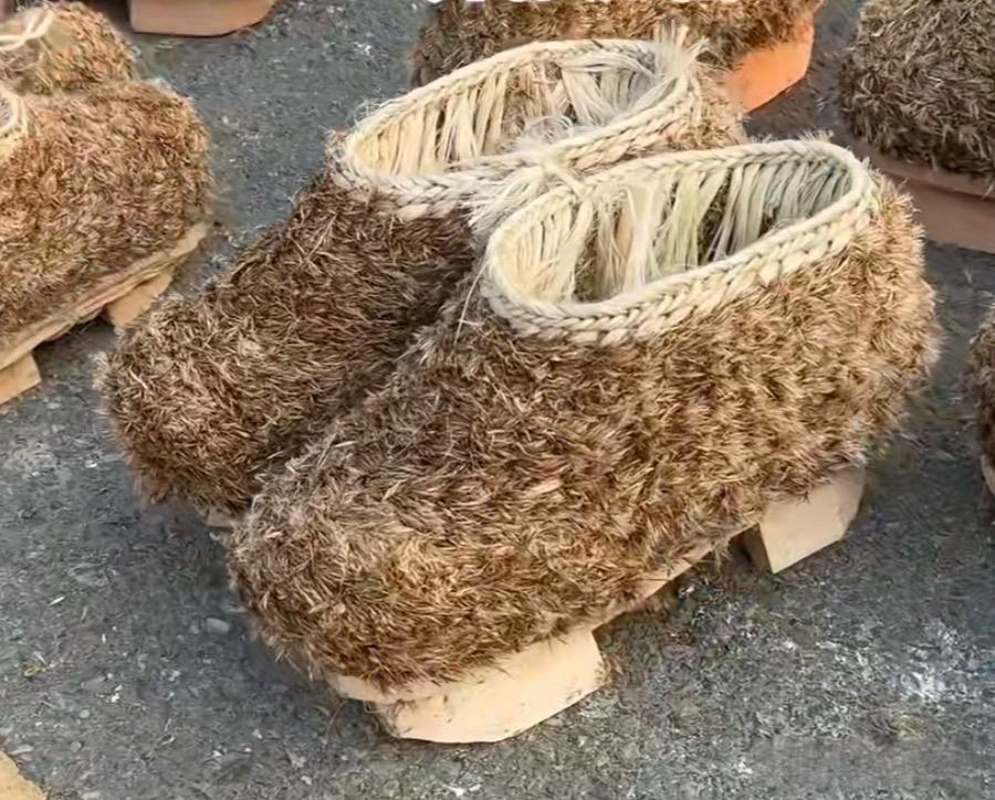 这鞋猜猜卖多少钱