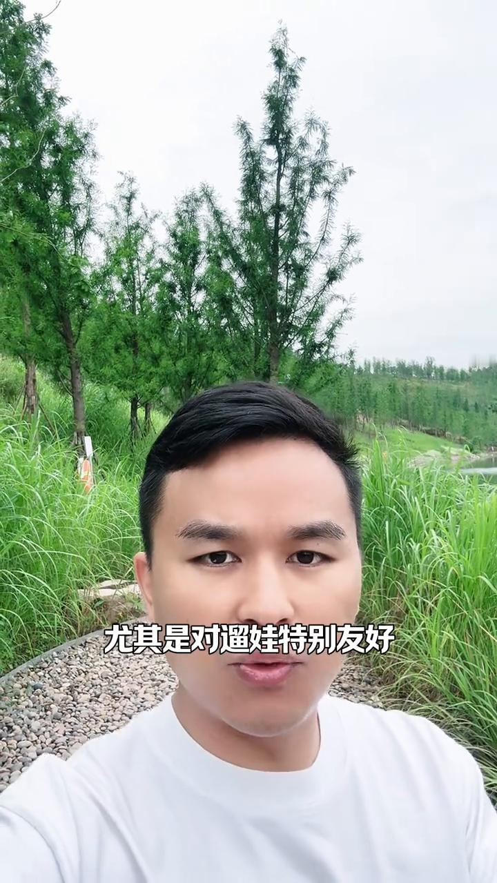 重庆新晋公园天花板级惊艳。
重庆新晋公园天花板来了，这里绝对是重庆目前最好逛的一