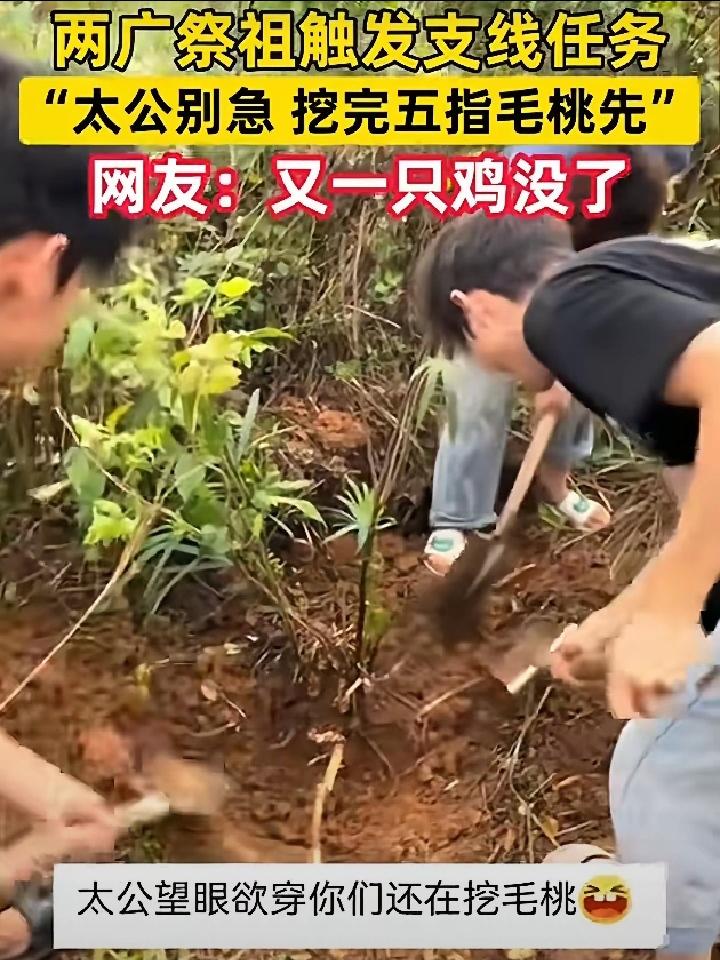 笑翻了!广西，男子一家人上山祭祖，可还没赶到地方，他们就纷纷走不动路了，原来他们