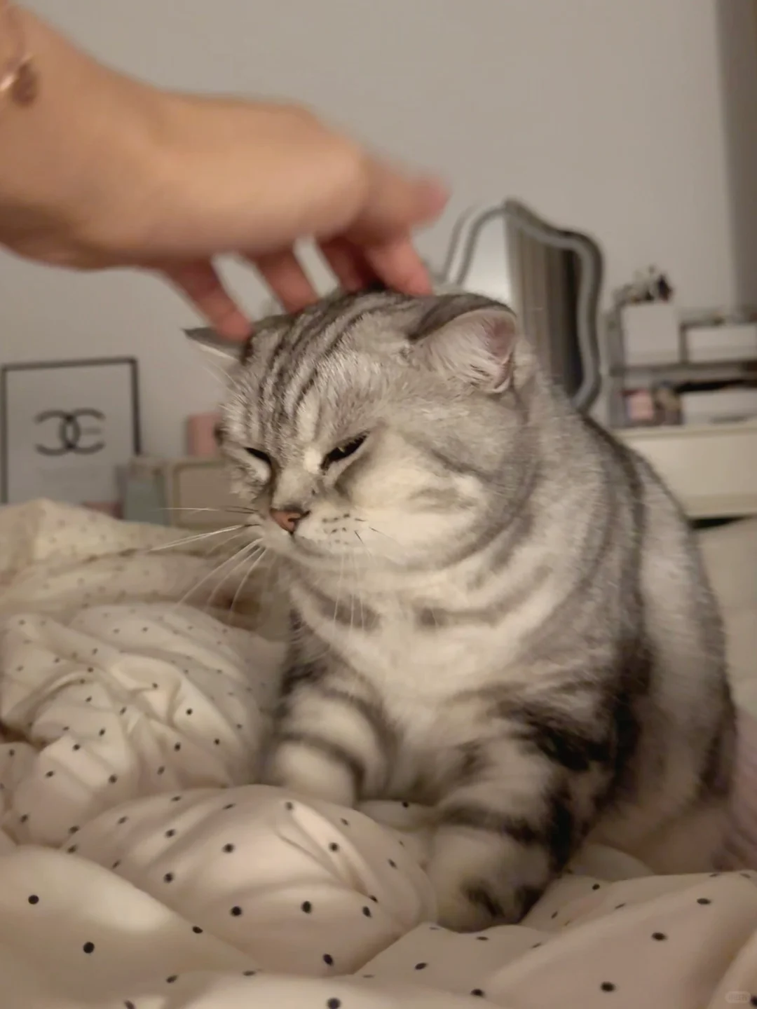 生气.gif