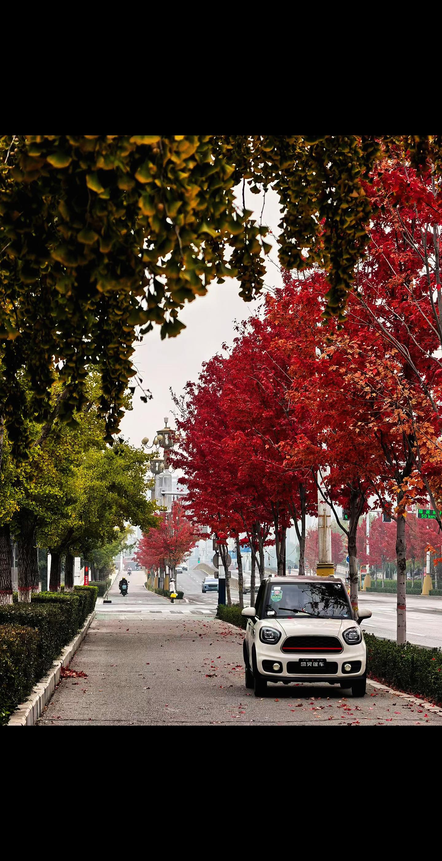 不是北平的秋 这里是唐山丰南 🍁 🍂