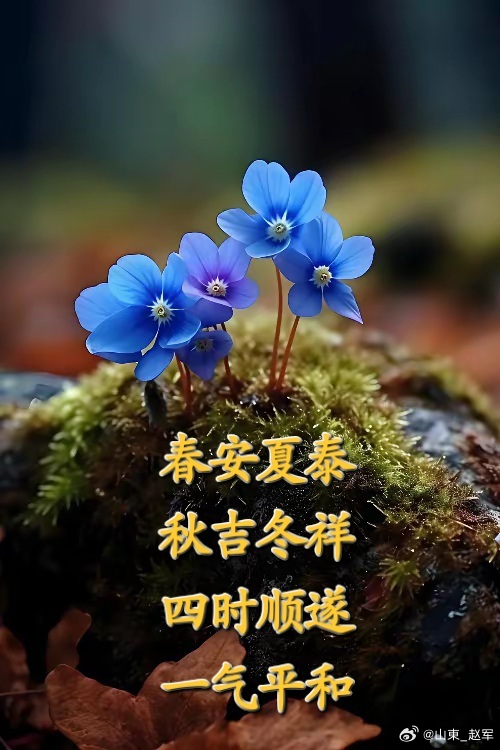 中医不传口诀：带天往上走，带地往下走，一眼懂药性1. 天为阳，往上走天属阳，药多