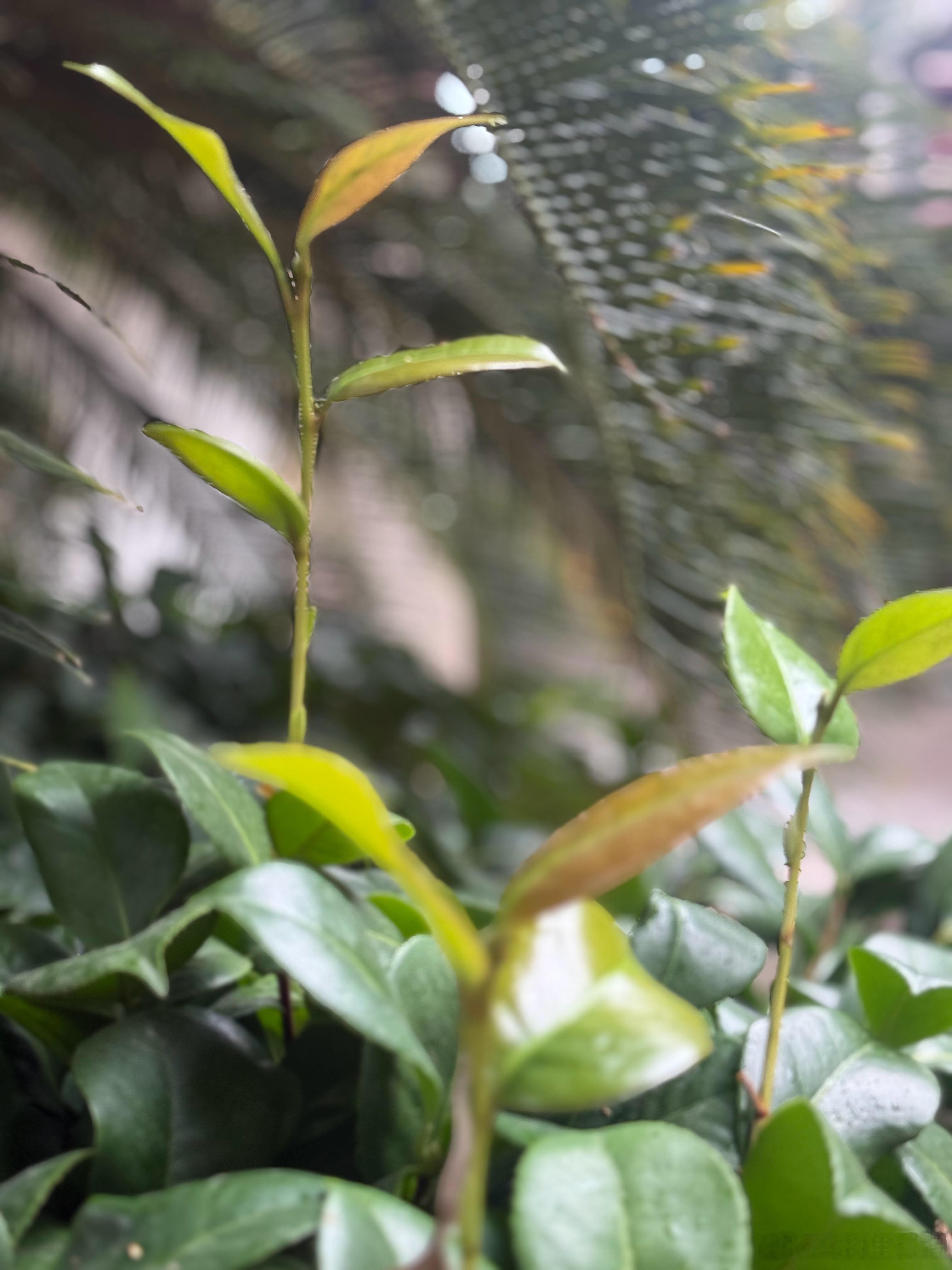 很喜欢一句话：人生下半场，拼的不是财富和名利，而是修行。 人这一生，本就是一场自