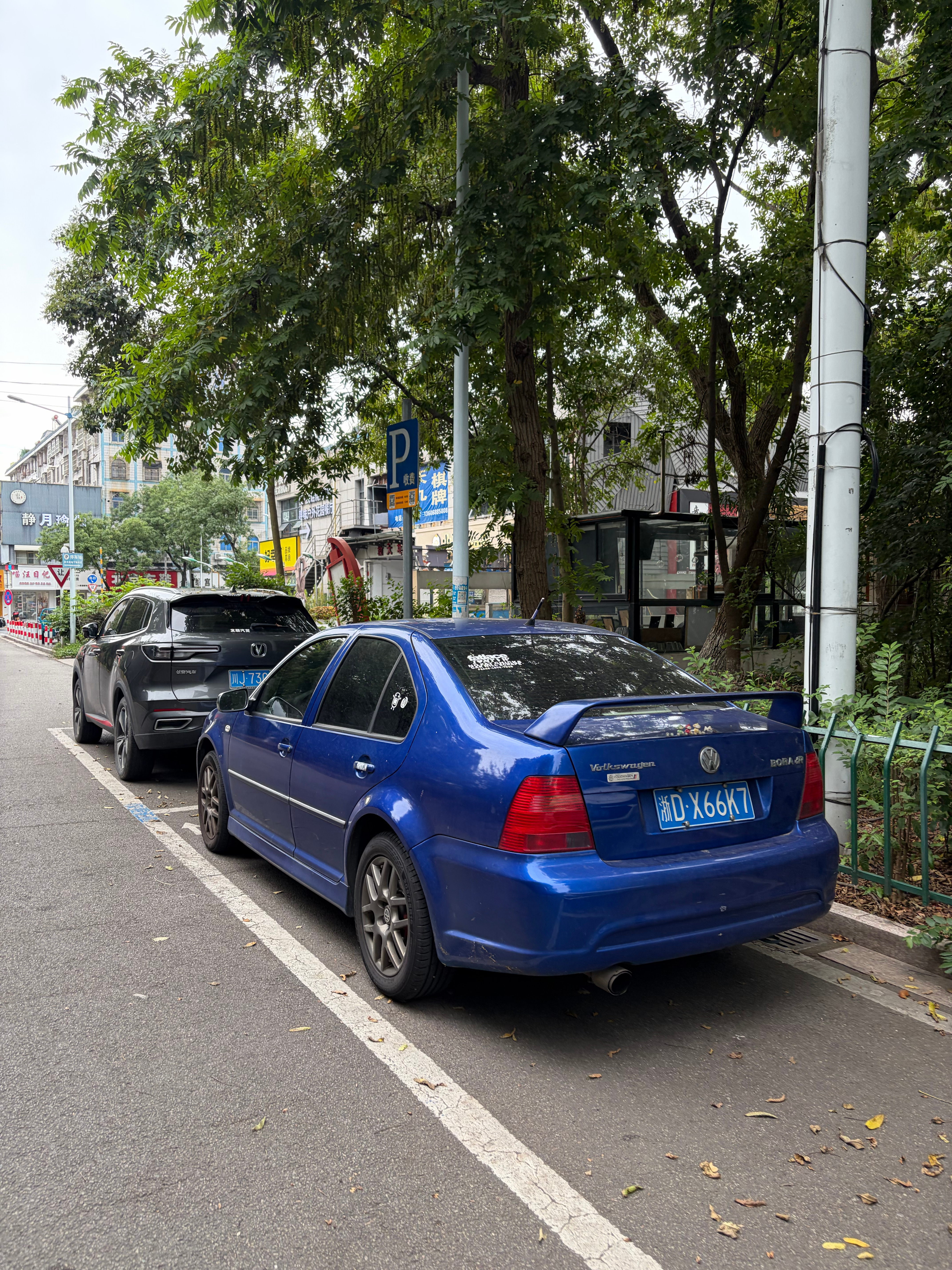 宝来RR的蓝色银耳运动包围和运动轮毂年纪比很多年轻车迷要大这个可以算真大哥吧 