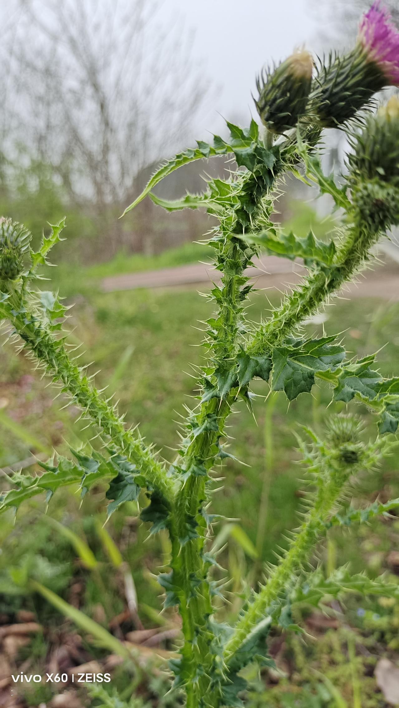 清明休假过完了，今天是星期二，大家都盼着这个星期二，看看大盘怎么样？
休假期间，