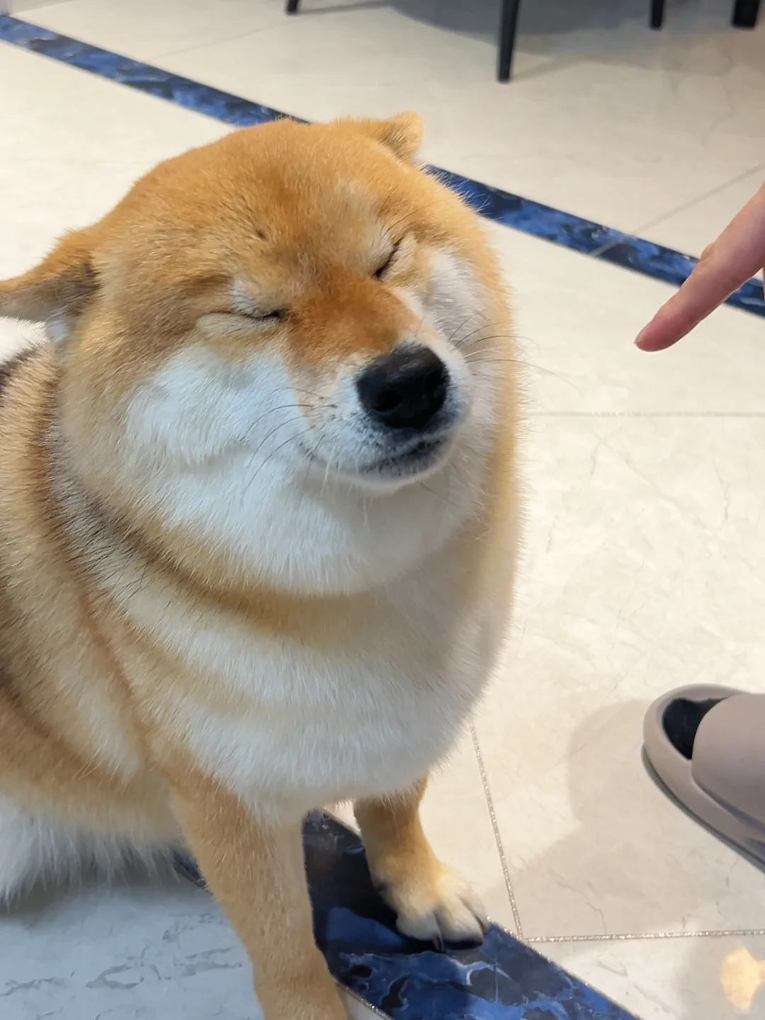 在吃和害怕之间选择害怕的吃