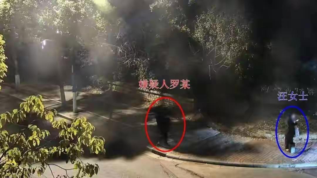 上海六旬阿姨网恋惊魂！14岁“男友”线下收钱背后，竟牵出千万洗钱链与家庭教育的血