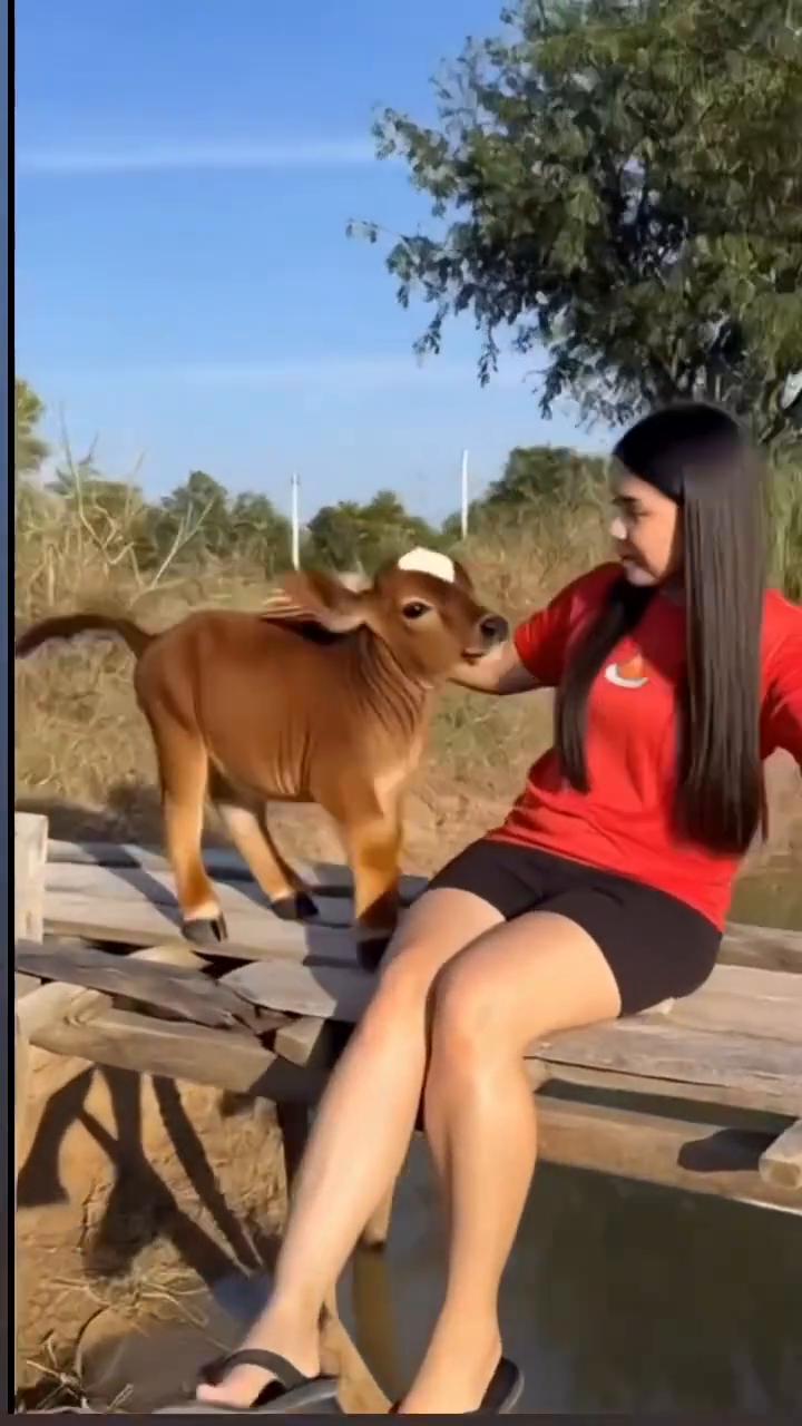 啊，哈哈，哈哈，哈哈哈。