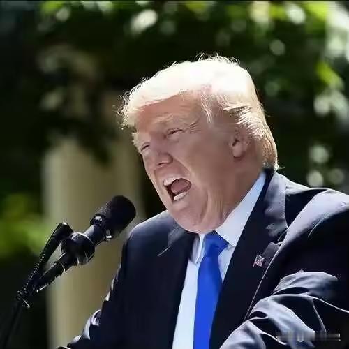 全世界都会看错一个人。这个人就是特朗普，被好多媒体塑造成一个低智、行为不正常、信